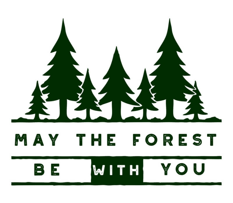 May The Forest Be With You