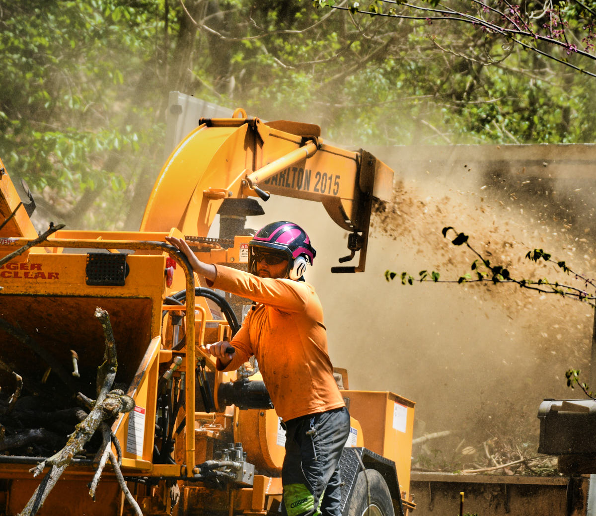 safe wood chipper operation by tree care professional