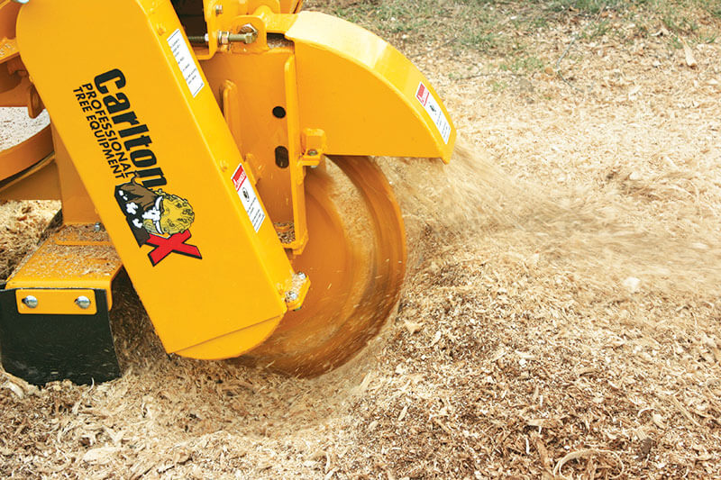 Stump grinding in action