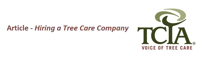 Hiring an arborist or tree care service