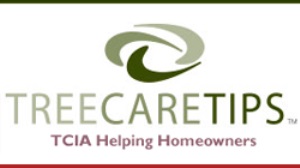 Tree Care Industry Association Tree Care Tips
